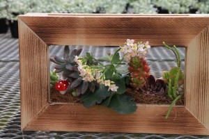 13682500_1049501858461213_1446579449_o