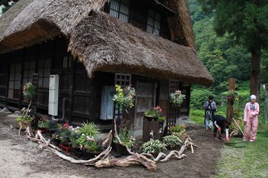 13686720_1037942566283809_1896653842637422900_n