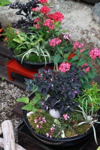 13690931_1037943776283688_1994091020074528244_o