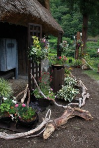 13692784_1037943339617065_2422067279070721264_o