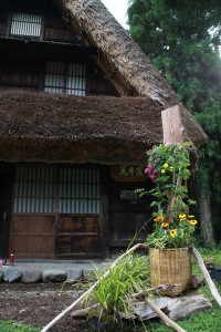 13692925_1037944426283623_4354834727975075027_o