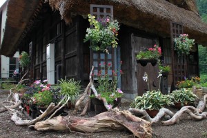 13697241_1037943686283697_9166765689930063829_n