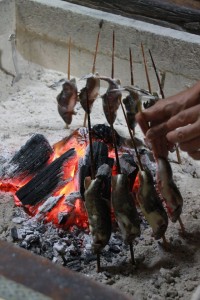 13700959_1039448786133187_5935256208892653544_o