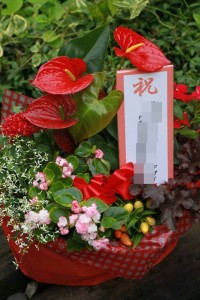 13705154_1040480342696698_590074879_n