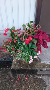 13706208_1040679339343465_590847194_n