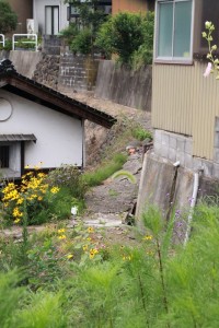 13708283_1046057978805601_3462858502242324391_o