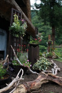 13710442_1037943332950399_5003826668058809005_o