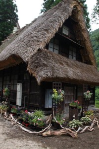 13710489_1037942562950476_4942931456607045720_o