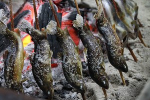 13710711_1039455146132551_1967484611858775162_o