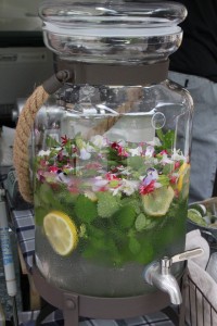 13724890_1039444256133640_6401905645319495775_o