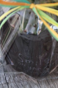 13725011_1657575411235384_8316528859699528644_o