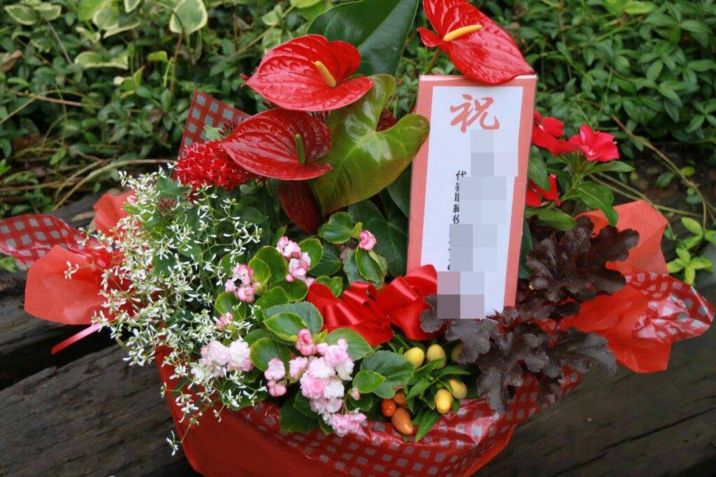 開所祝いにフラワーンダフル☆