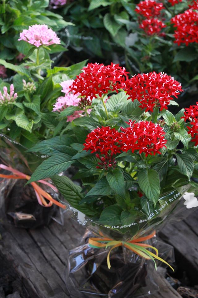 ピアノの発表会の会場装飾花