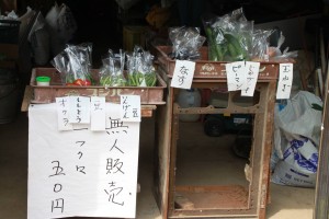 13734943_1046059315472134_5741056793623984764_o