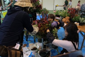 13735079_1039446482800084_3915132279449545949_o