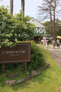 13735108_1046060332138699_2884003903382838209_o