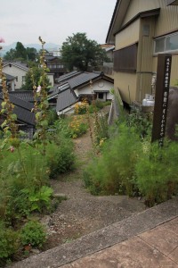 13735680_1046058098805589_839679120681302613_o