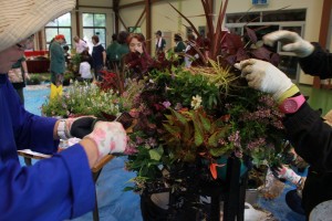 13735742_1039446479466751_8298247402302434443_o