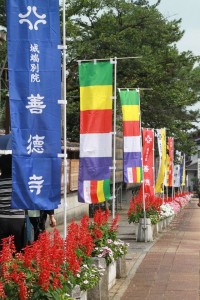 13737522_1046059365472129_254143362500366949_o