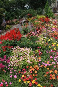 13823409_1044022665675799_418816516_n