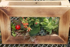 13838098_1049501868461212_170647917_o