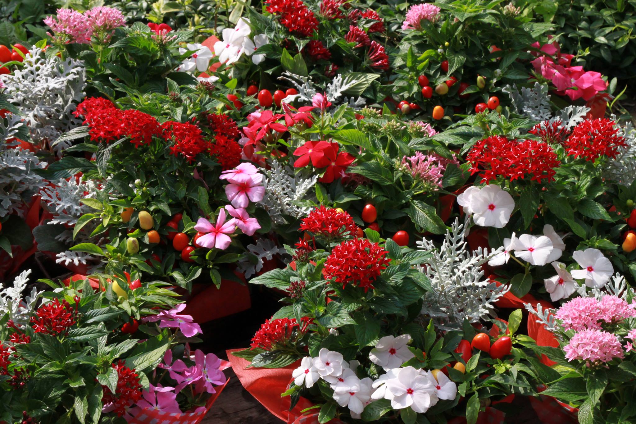 引き続きテーブル装飾花