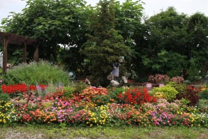 13839954_1044022562342476_431764403_o