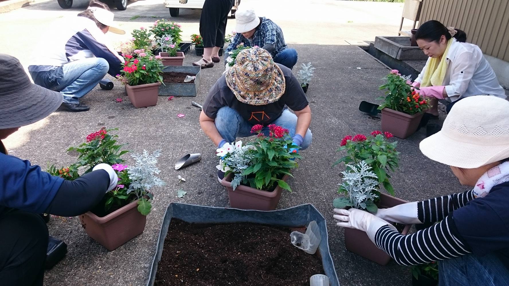 久しぶりの寄せ植え教室