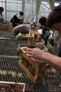 13884550_1049507868460612_741696371_n