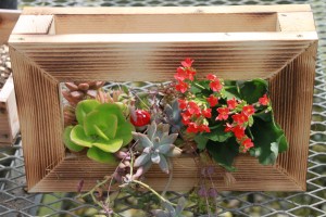 13898188_1049507885127277_217499214_o