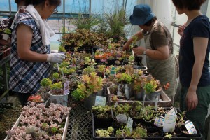 13898309_1049507571793975_548398970_o