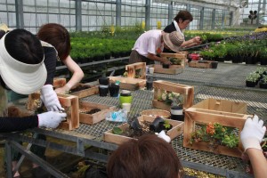 13898540_1049501845127881_668111087_o