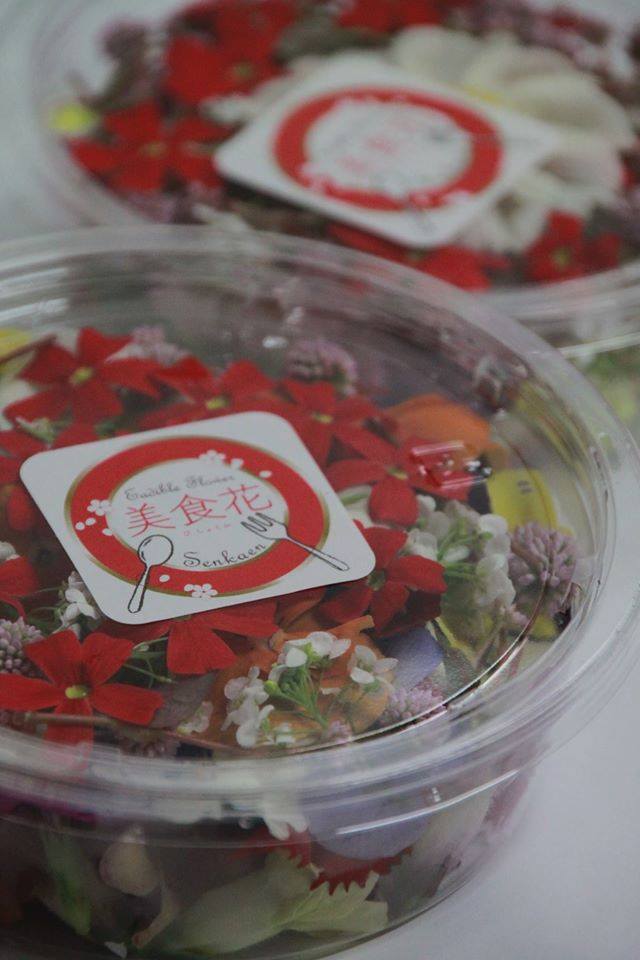 かっこいい人☆「世界はまだまだ面白くなるはずだ」