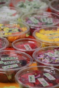 13001250_1599050557087870_5892549274925497241_n