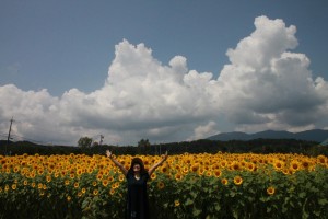 13667946_1050252508386148_3733334416287831750_o