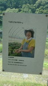 13866842_1050242155053850_1406374575_n