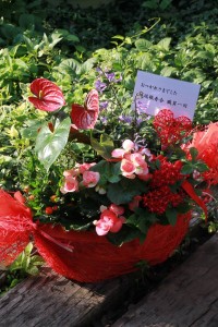 13871822_1049501695127896_1351926558_n