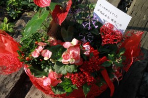 13898311_1049501698461229_1735837023_o