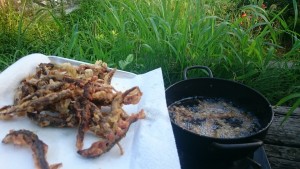 13912679_1050315558379843_6427121380022814340_n