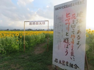 13931601_1057625147648884_1390003754_o