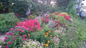 13933534_1053640944713971_1049750252_n