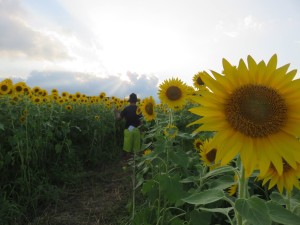 13950766_1057625257648873_460873597_o