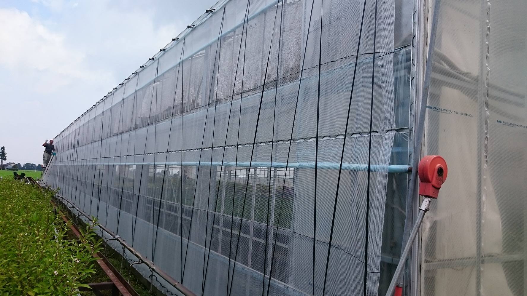 15年ぶりのビニール交換！！