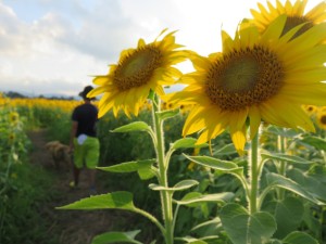 13977949_1057625240982208_1521327342_o