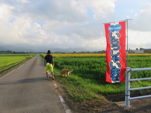 13987306_1057625194315546_889423915_o