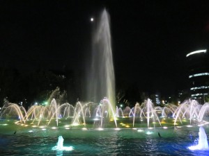 14022283_1059797050765027_4110411743036526720_n