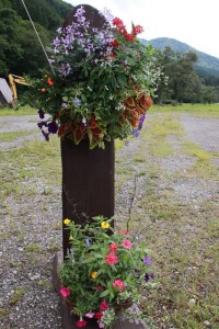 14054402_1072214359523296_4489254411140967_o