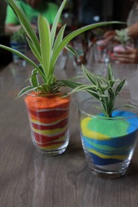 14080885_1074278622650203_1657451596_n