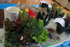 14114112_1070325999712132_1228914075_o