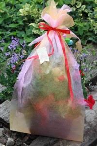 14114458_1072552482822817_1102264442_o